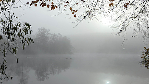 Nebliger See in einer stillen, herbstlichen Landschaft. Im Vordergrund rahmen kahle &Auml;ste und vereinzelte Bl&auml;tter das Bild. Der See spiegelt die gespenstisch wirkenden, vom Nebel umh&uuml;llten B&auml;ume am Ufer wider. Die Szene wirkt ruhig, melancholisch und nachdenklich.