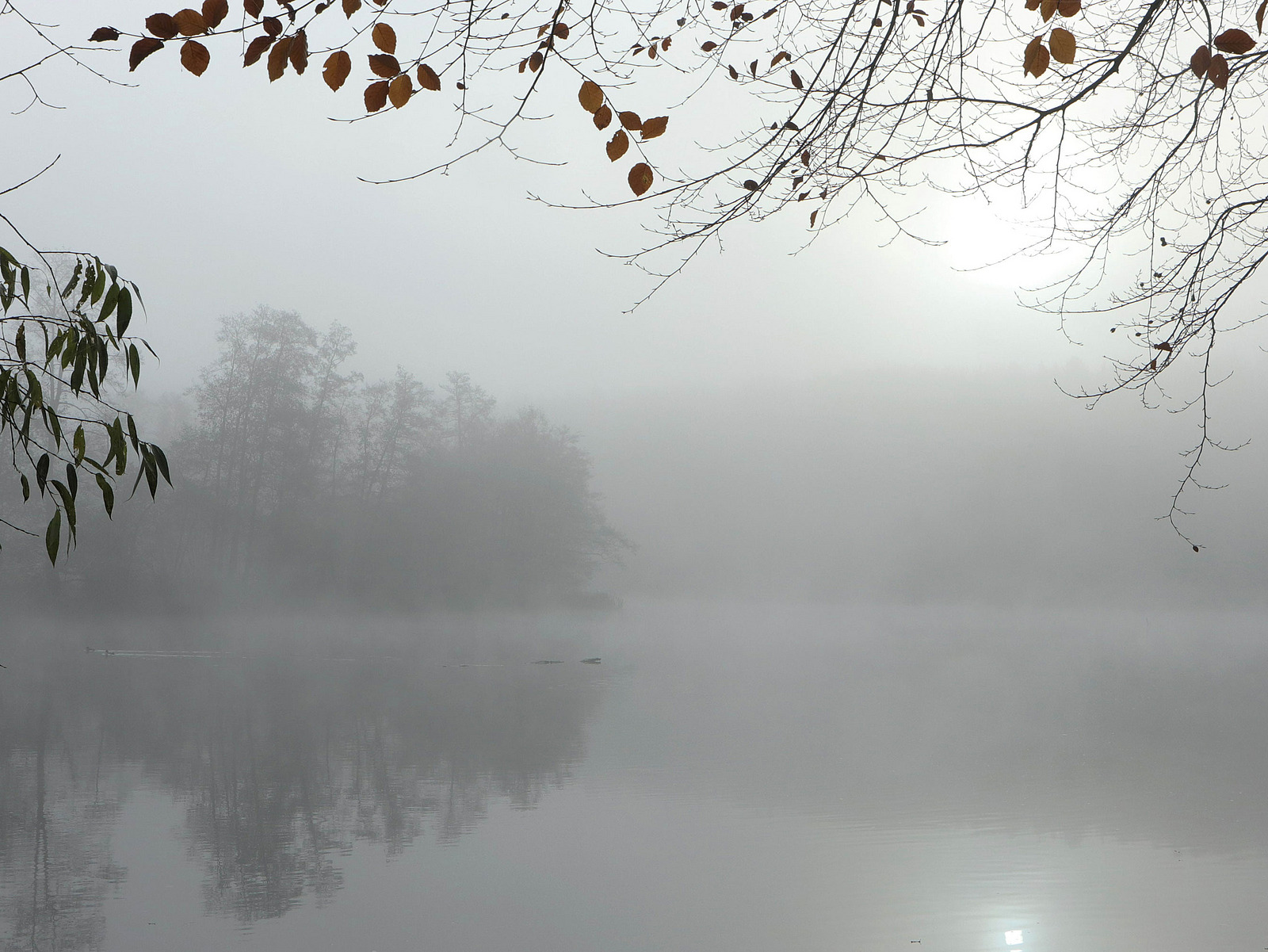 Nebliger See in einer stillen, herbstlichen Landschaft. Im Vordergrund rahmen kahle &Auml;ste und vereinzelte Bl&auml;tter das Bild. Der See spiegelt die gespenstisch wirkenden, vom Nebel umh&uuml;llten B&auml;ume am Ufer wider. Die Szene wirkt ruhig, melancholisch und nachdenklich.