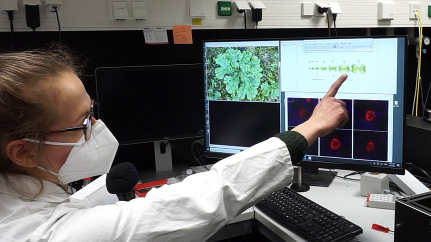 A woman in a lab coat points to a screen displaying a photograph of a plant, graphic representations and microscopic images. 