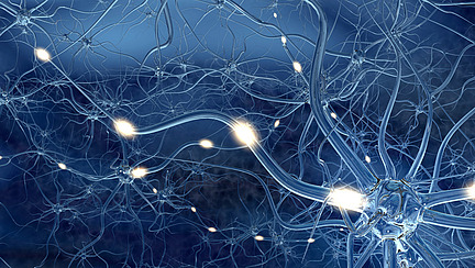 Eine künstlerische Darstellung von Neuronen