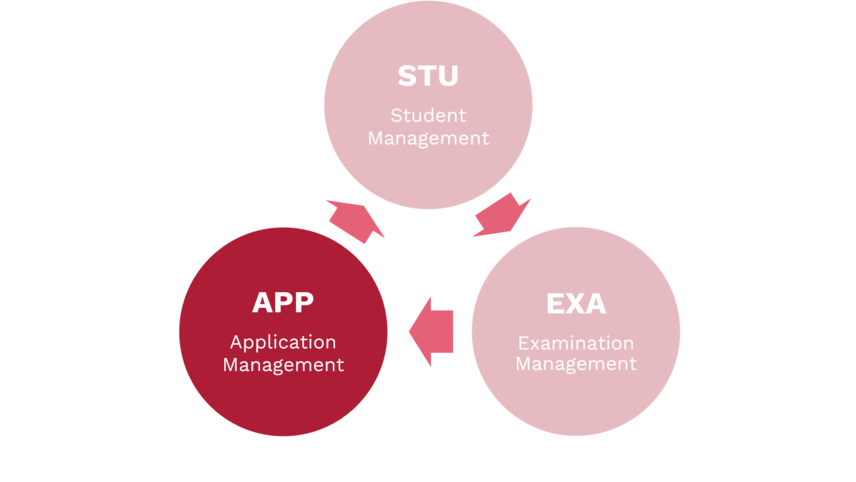 Overview of the components APP, STU, EXA in three circles arranged in a triangle; APP highlighted