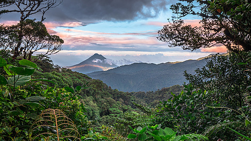 A view of a lush, green mountain landscape with diverse vegetation in the foreground. In the background, a prominent volcano rises above gentle hills