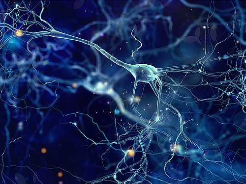 neuron, brain, neurology, nerve, network, neural, biology, impulse, synapse, hormone, organism, connecting, cell, axon, system, thinking, science, energy, alzheimer, signal, medicine, neuronet, glow, microbiology, bio, macro, research, human, 3d, anatomy, biological, brainstorm, cells, connection, glowing, head, hormon, medical, mental, micro, microscopic, mind, nervous, nucleus, space, receptor, render, thought, AI, artificial