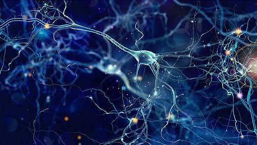 neuron, brain, neurology, nerve, network, neural, biology, impulse, synapse, hormone, organism, connecting, cell, axon, system, thinking, science, energy, alzheimer, signal, medicine, neuronet, glow, microbiology, bio, macro, research, human, 3d, anatomy, biological, brainstorm, cells, connection, glowing, head, hormon, medical, mental, micro, microscopic, mind, nervous, nucleus, space, receptor, render, thought, AI, artificial