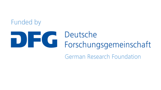 Logo DFG German Research Foundation