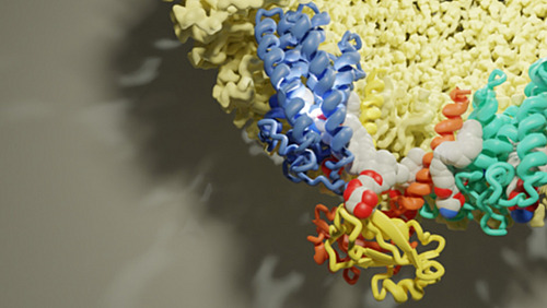 A colourful molecular structure