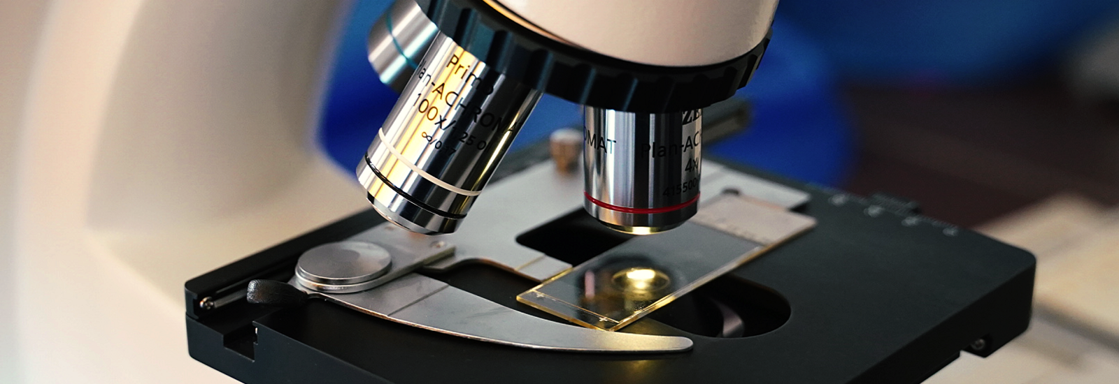 Microscope close-up