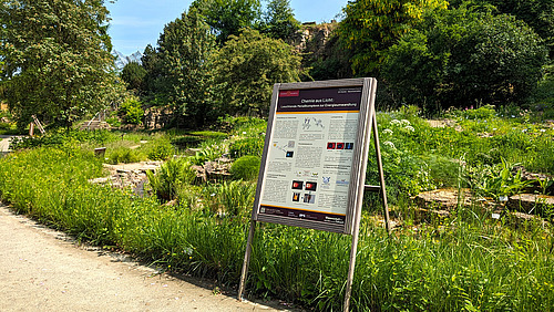 Ein Aufsteller steht am Wegesrand im Botanischen Garten, darauf ist die &Uuml;berschrift "Chemie aus Licht" zu erkennen.