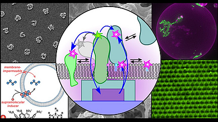 Eine Collage aus grafischen Darstellungen von Molek&uuml;len und Mikroskopiebildern.