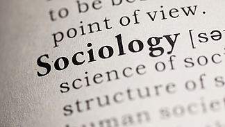 An excerpt from an English-language dictionary on the article "Sociology"