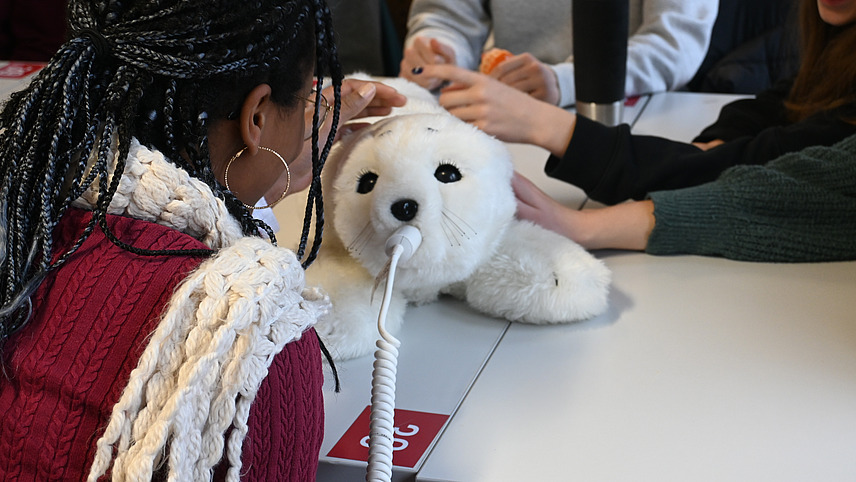 Die Therapie-Robbe "Paro" liegt auf einem Tisch und wird von Studierenden gestreichelt
