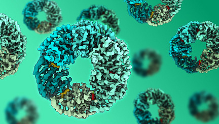 A graphic representation of ring-shaped molecules against a green background.