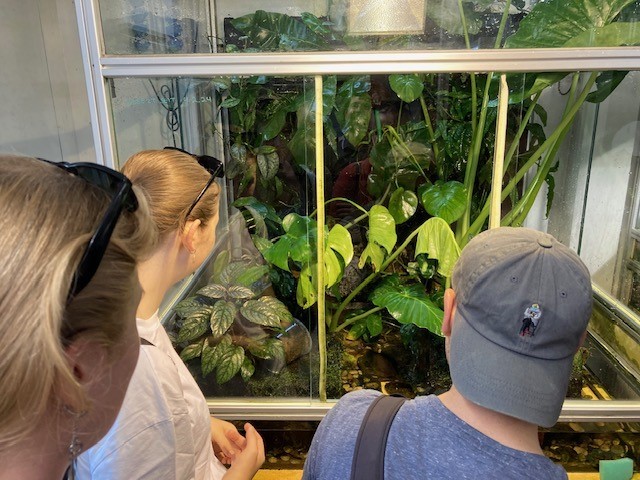 Three people look into an enclosure enclosed by panes of glass, in which many plants can be seen.