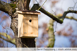 Vogelnistkasten aus Holz an einem Baum