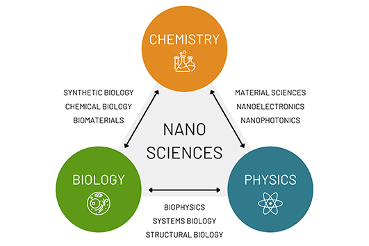 Grapic Study Program Nanosciences