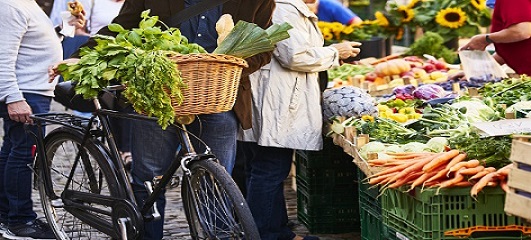 Mann Fahrrad Einkauf Markt Mütze Gemüse