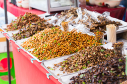 Insekten zum Verzehren, Streetfood