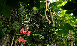 Junge Frau im Regenwaldhaus des Botanischen Gartens