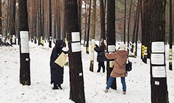 In einem verschneiten Wald hängen mehrere Personen Zettel an Bäume