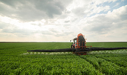 Traktor beim Sprühen von Weizen im Frühjahr auf einem Feld