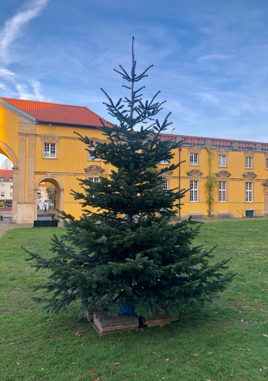 Weihnachtsbaum im Schlossinnenhof