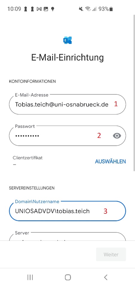 Beispiel f&uuml;r ein Bild