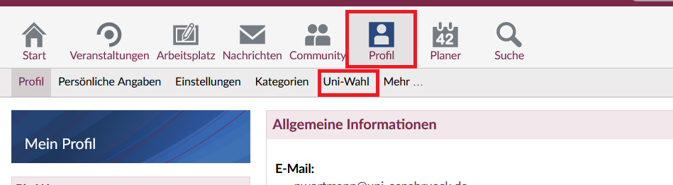 Screenshots vom Verfahren der Stimmabgabe